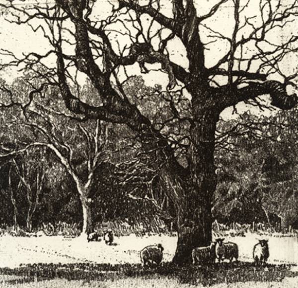 - a , Print by Chrissy Norman, measuring 15 x 15 cm (H x W) framed at 40 x 38 cm £155